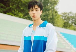 明星粉丝多不多,揭秘明星粉丝数量背后的魅力与影响力  第2张