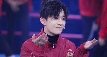 明星粉丝多不多,揭秘明星粉丝数量背后的魅力与影响力  第3张