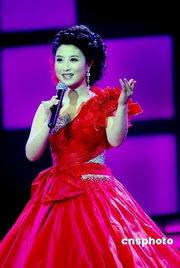 刘媛媛个人资料,才华横溢的青年才女，多领域成就斐然  第2张