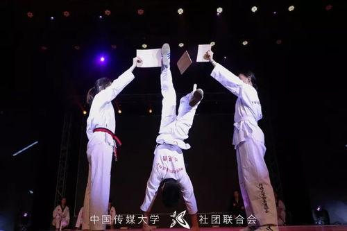 跆拳道表演的背景音乐,音乐与技艺的激情碰撞  第2张