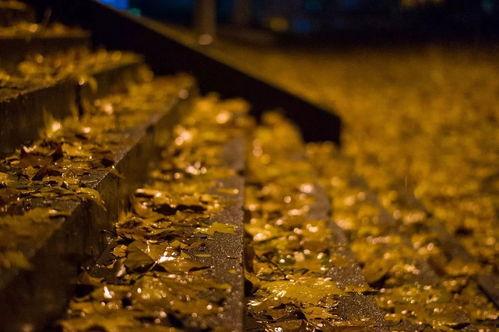 不认输的图片,坚韧意志的力量见证