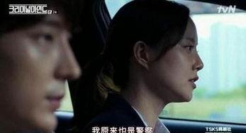 韩剧犯罪心理演员,揭开人性阴影的探案之旅  第3张